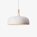 Acorn pendant light metal shade height adjustable bedroom dining room — white black blue grey green