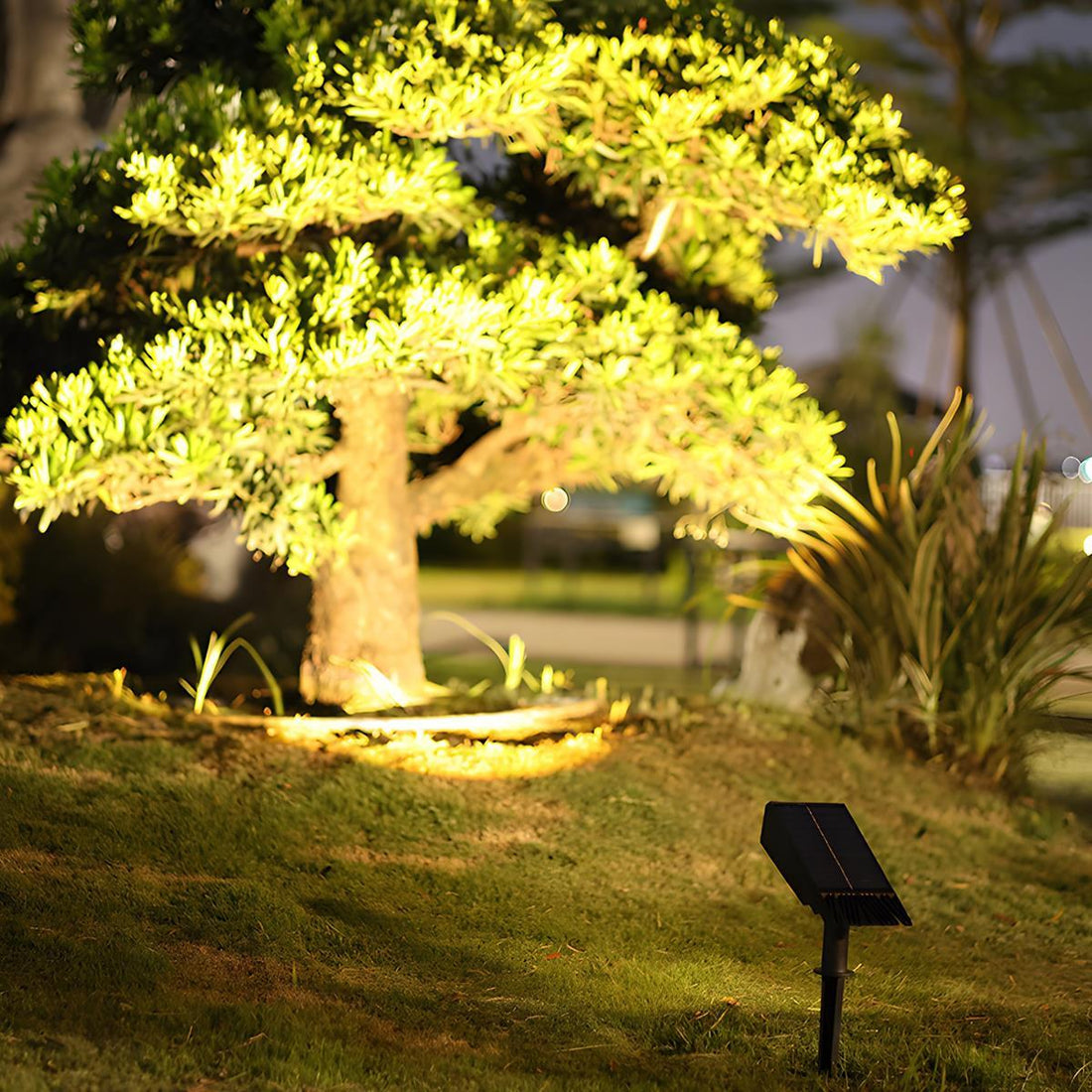 Solar multi-zoom spotlight waterproof LED landscape garden tree — warm white and RGB singles to 4-pack